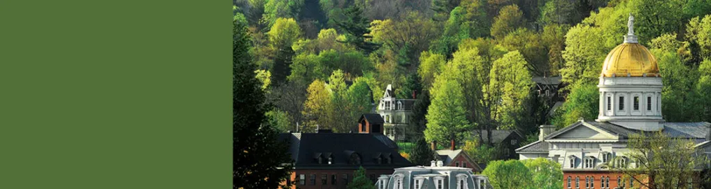 State House bird's eye view